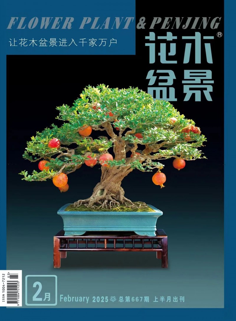 赞！枣庄石榴盆景登上国家级专业杂志封面