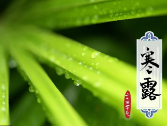 今日寒露！