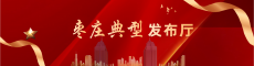 枣庄典型发布厅
