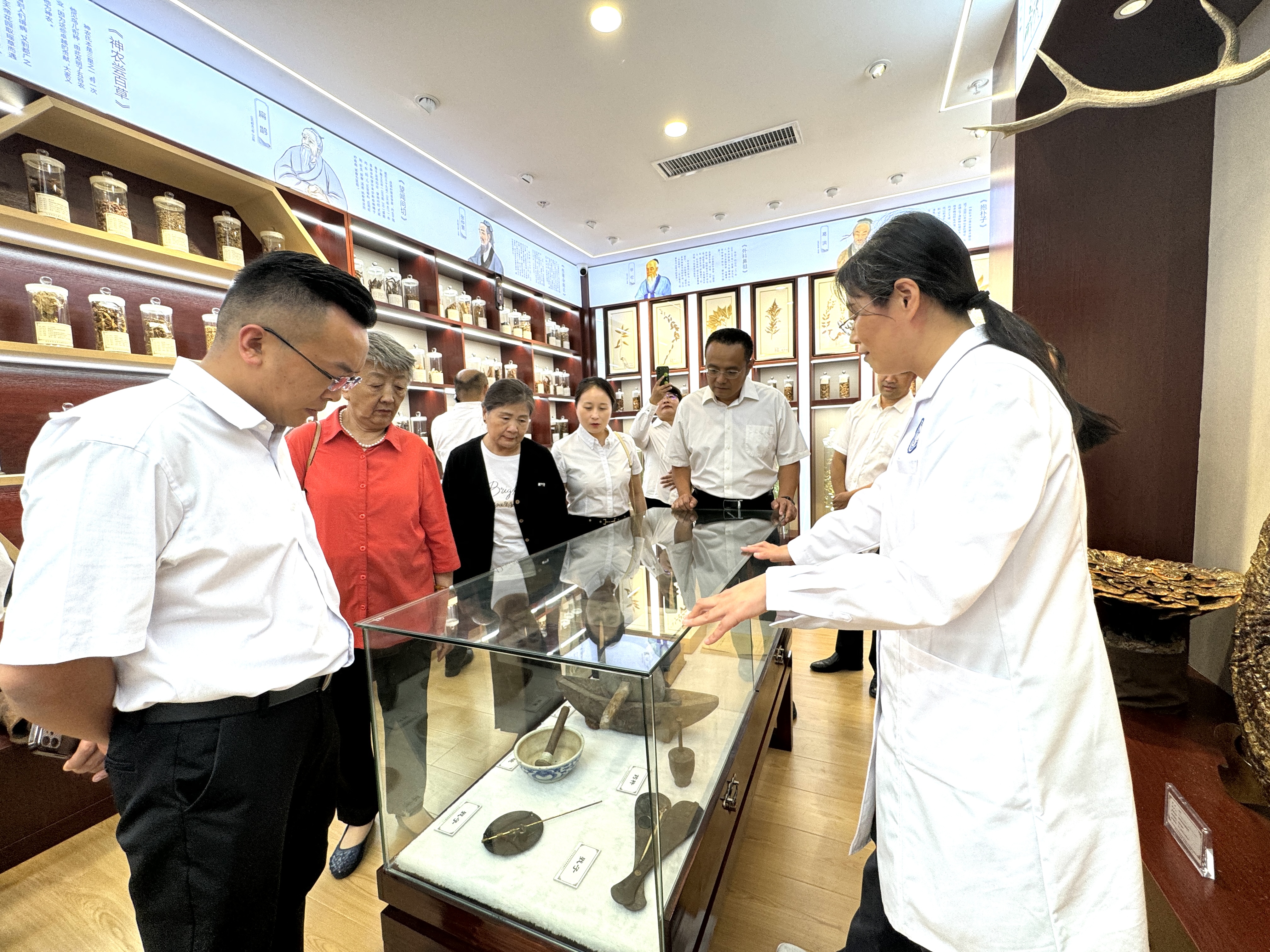 同心传承岐黄薪火  携手关注食药安全——九三学社社员走进市食品药品安全科普工作室 参观体验